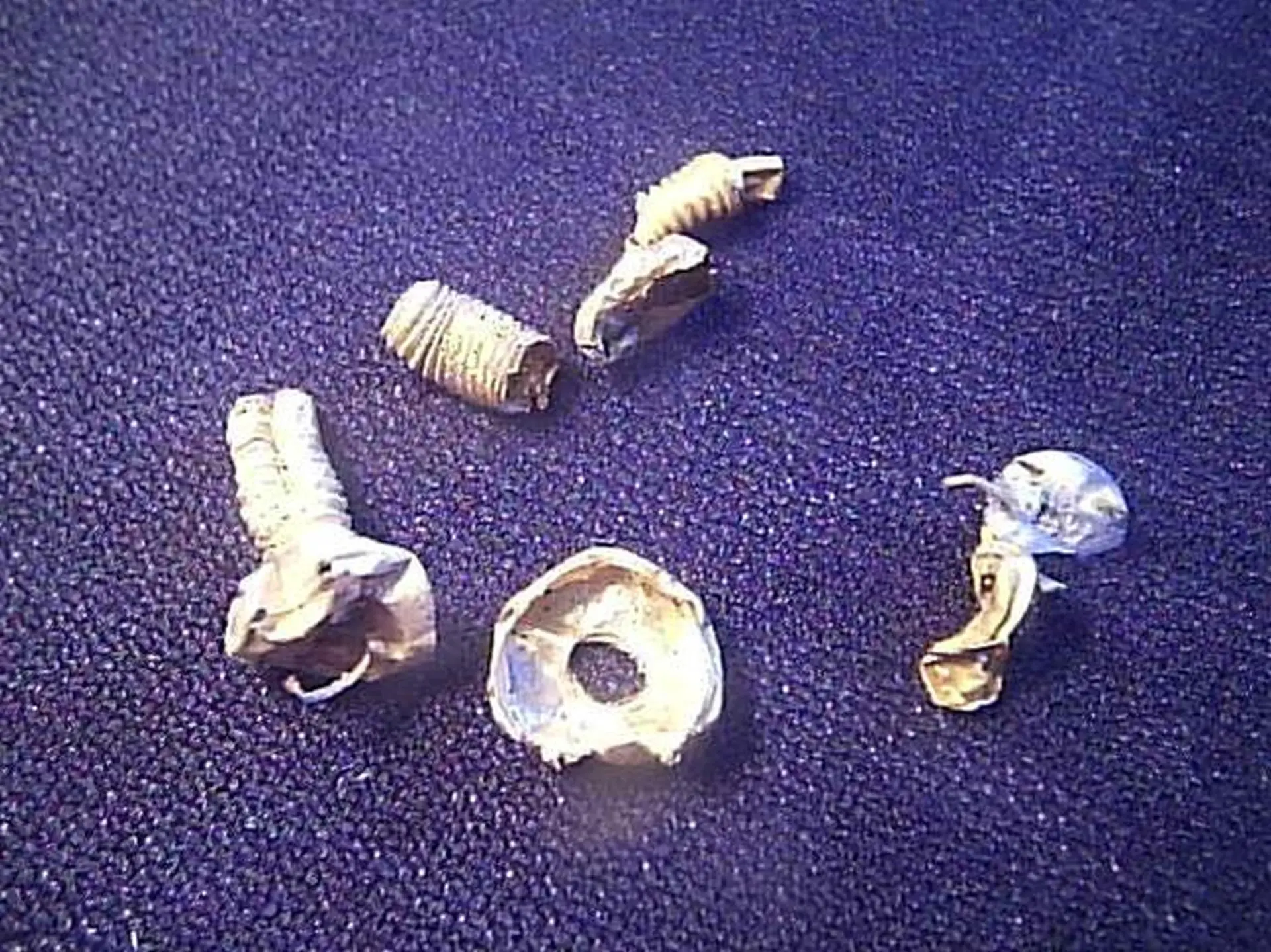 Золотые шкурки, оставшиеся после транзисторов.